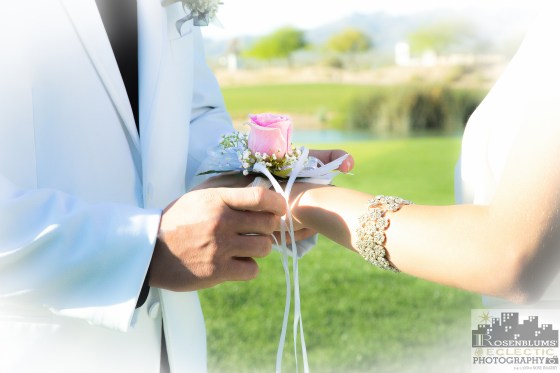 Rosenblums' Eclectic Photography-Tucson Prom 2016 Photography