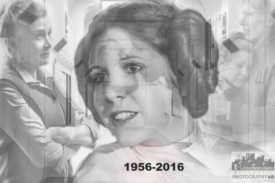 rosenblums-eclectic-photography-tucson-wedding-family-portrait-photography-cosplay-1-of-1-copy