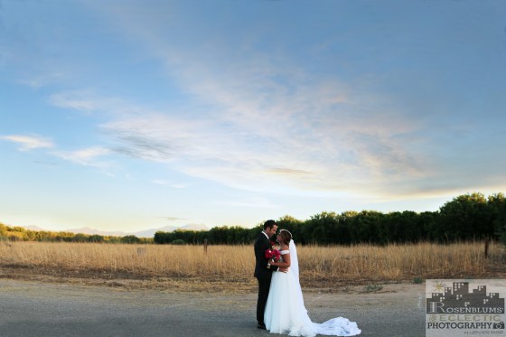 Rosenblums' Eclectic Photography/ Tucson Wedding Photography Leslie and Daniel Wedding Receptions