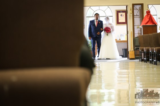 Rosenblums' Eclectic Photography/ Tucson Wedding Photography Leslie and Daniel Wedding Receptions