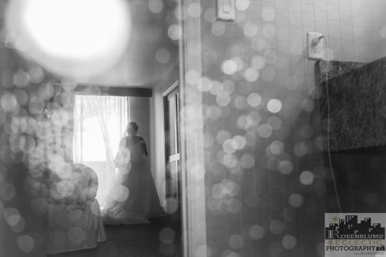 Rosenblums' Eclectic Photography/ Tucson Wedding Photography Leslie and Daniel Wedding Receptions